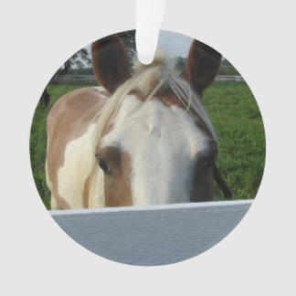 Peek a Boo Palomino Horse Behind Fence Ornament