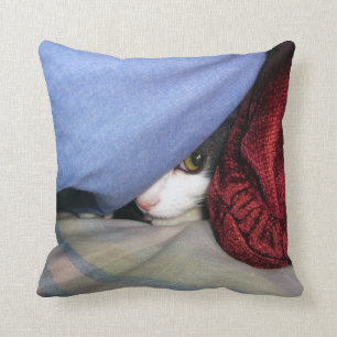 Peek a Boo Pillow