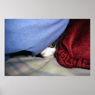 Peek a Boo Poster