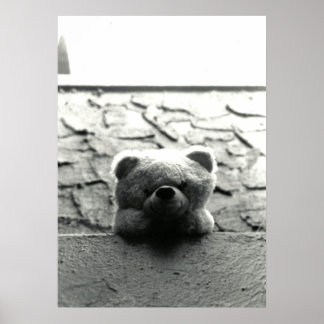 Peek-a-Boo Teddy Poster