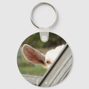 Peek a boo white goat! Cute goat waiting picture Keychain