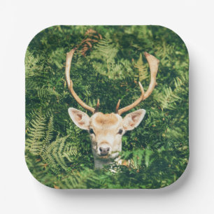 Peek a Deer  Paper Plate