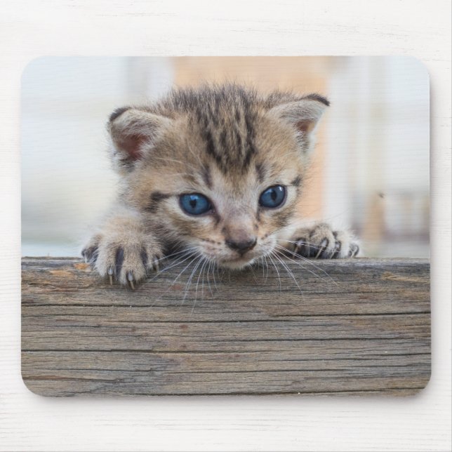Peek-a-Purr Mouse Pad (Front)