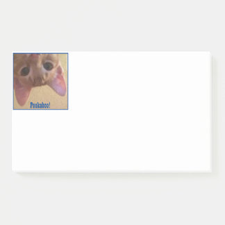 Peekaboo! Archie sees you! Post-it Notes