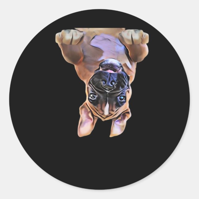 Peekaboo Boxer Classic Round Sticker (Front)