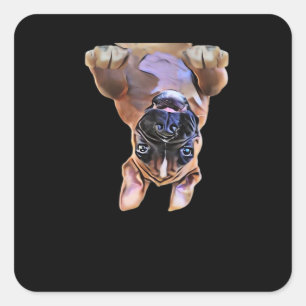 Peekaboo Boxer Square Sticker