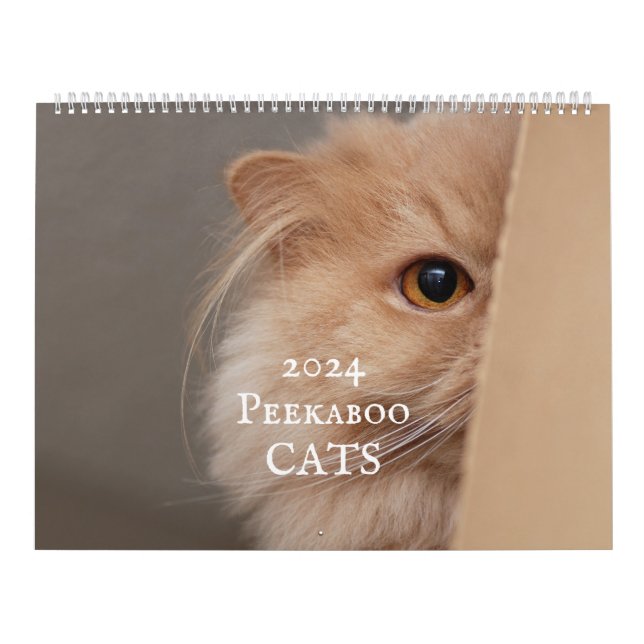 Peekaboo Cat Calendar (Cover)