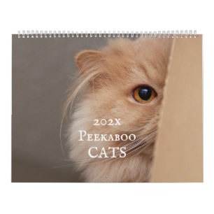 Peekaboo Cat Calendar