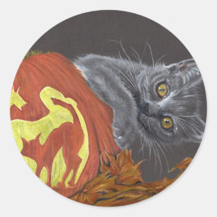 Peekaboo cat pumpkin sticker autumn 