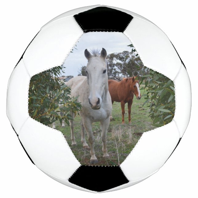 Peekaboo Horses, Soccerball (Front)
