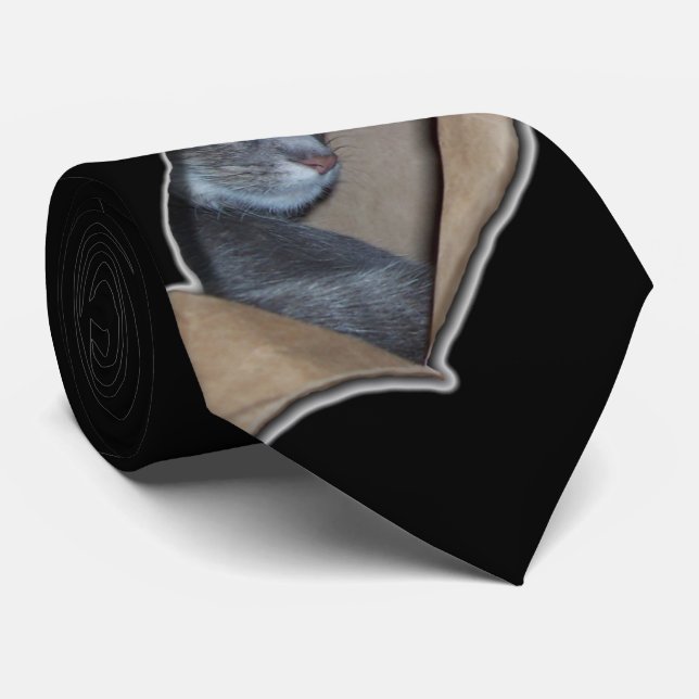 Peekaboo I See Mew Tie (Rolled)