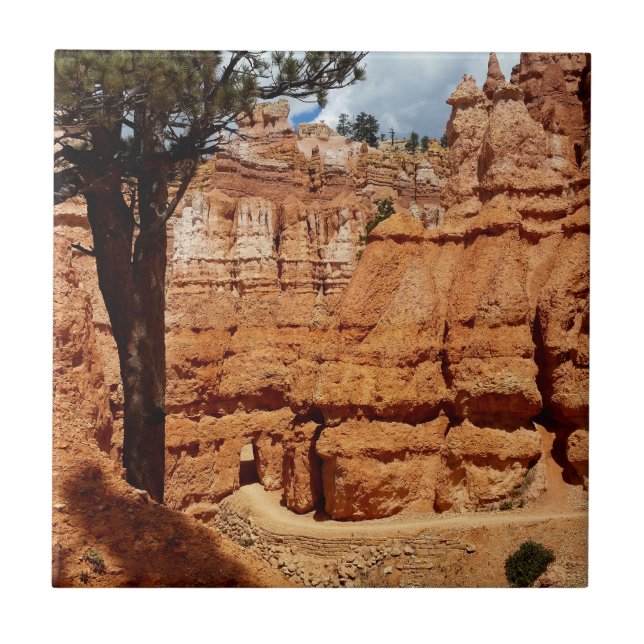 Peekaboo loop Bryce Canyon National park Utah Tile (Front)