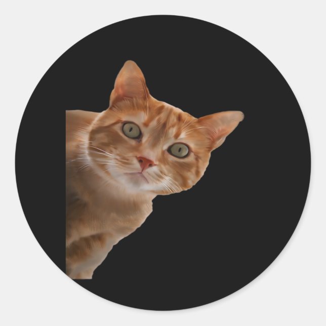 Peekaboo- Painting Classic Round Sticker (Front)