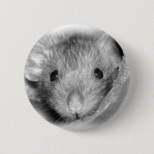 Peekaboo Rattie Button (Front)