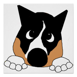 peeking basenji black tan and white poster