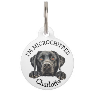 Peeking Black Labrador Puppy Personalized Pet Tag