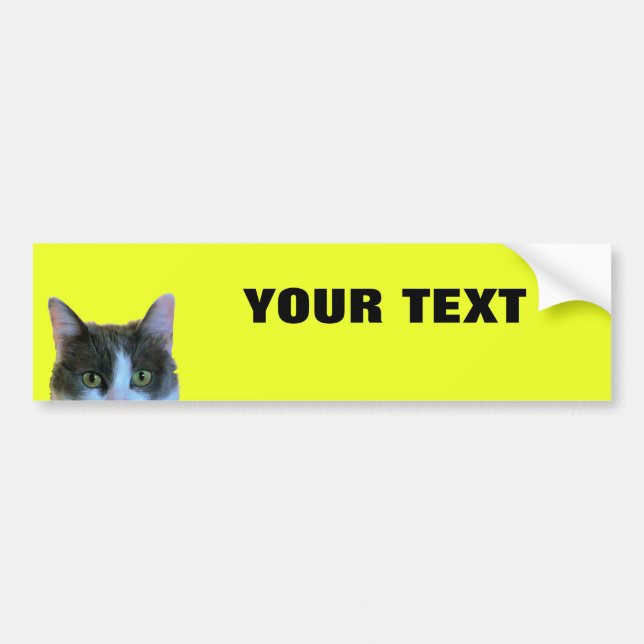 Peeking Cat Your Text "Folio Extra Bold" on Yellow Bumper Sticker (Front)