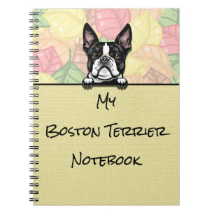 Peeking Cute Boston Terrier carnet
