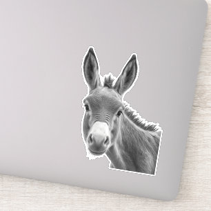Peeking Donkey Funny 