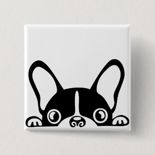 Peeking french bulldog 2 inch square button