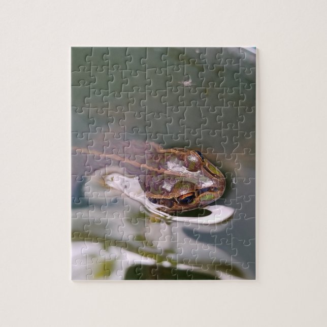 Peeking frog jigsaw puzzle (Vertical)