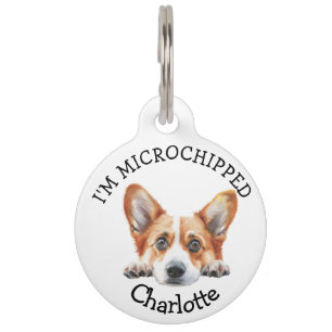 Peeking Gold Corgi Puppy Personalized Pet Tag