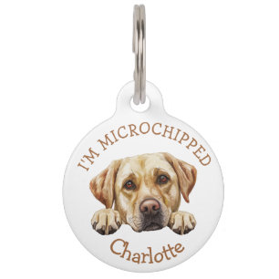 Peeking Golden Labrador Puppy Personalized Pet Tag