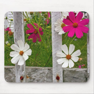 Peeking Out Mouse Pad