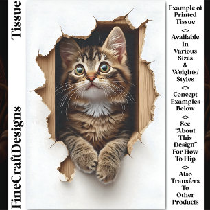 Peeking Out Of Hole Tabby Cat Kitten CN5 Decoupage Tissue Paper