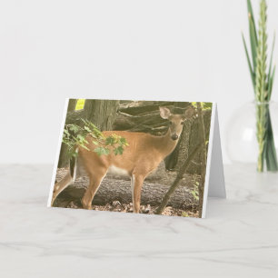 "PEEKING OUT TO SAY HAPPY BIRTHDAY" CARD