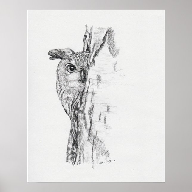 Peeking Owl" Poster (Front)