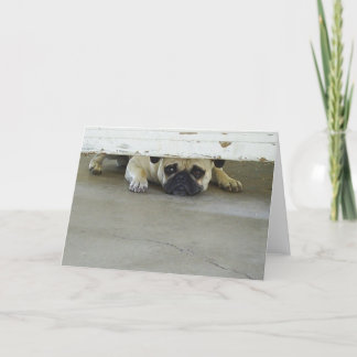 Peeking Pug Greeting Card - Blank Inside