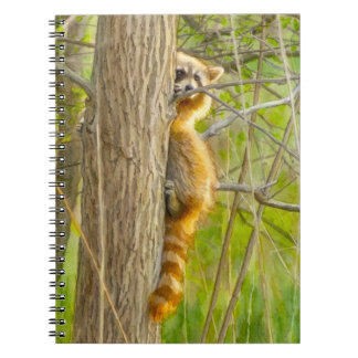 Peeking Raccoon Watercolor Artwork Notebook