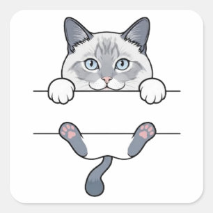 Peeking Siamese Cat Paws Pink Beans Square Sticker