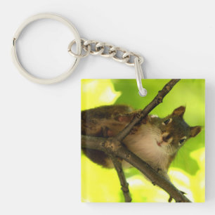Peeking Squirrel Keychain