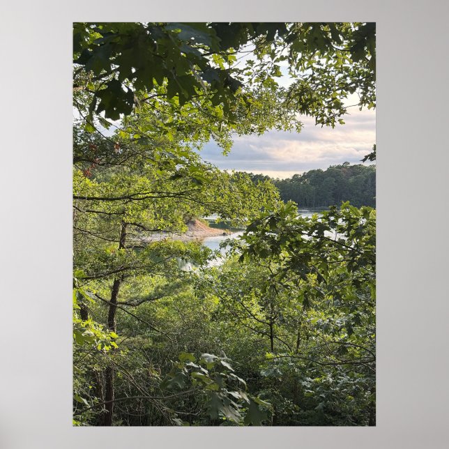 Peeking through the Trees Poster (Front)