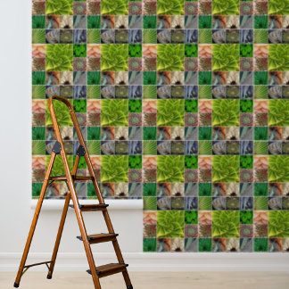 Peel and Stick Wallpaper Cactus Plants