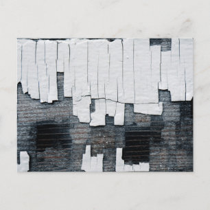 Peeling Paint on Wood  Postcard