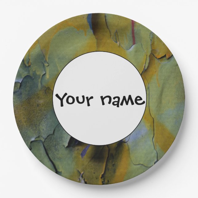 Peeling paint paper plate (Front)
