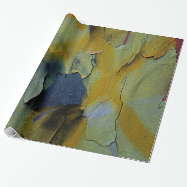 Peeling paint wrapping paper (Unrolled)