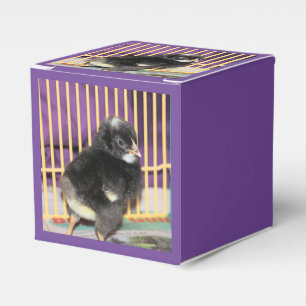Peep Favor Box