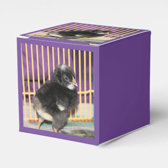 Peep Favor Box (Front Side)