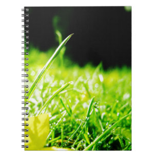 peep notebook