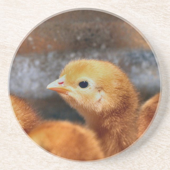 Peep peep coaster (Front)