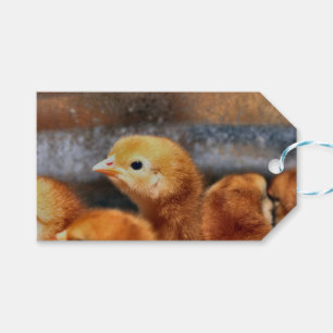 Peep peep gift tags