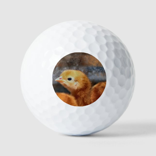Peep peep golf balls (Front)