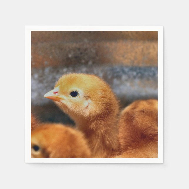 Peep peep napkin (Front)