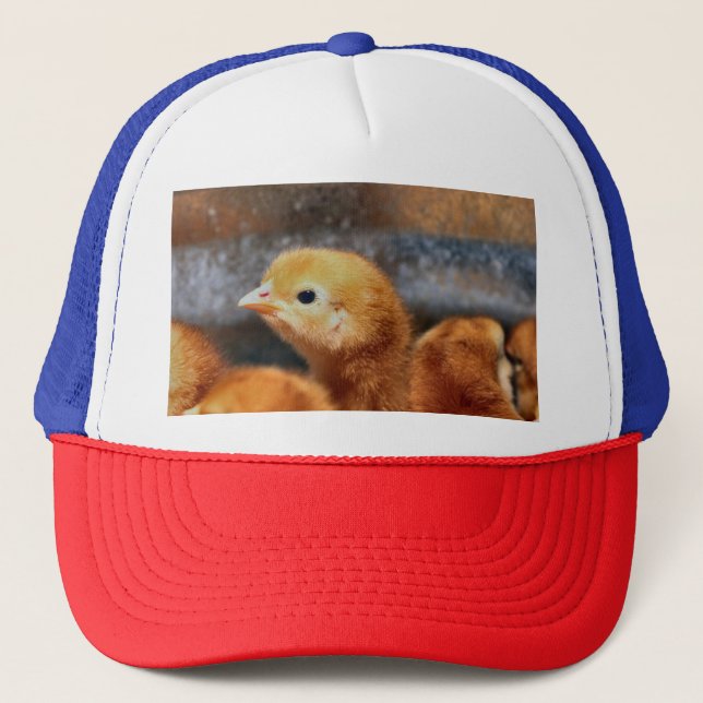 Peep peep  trucker hat (Front)