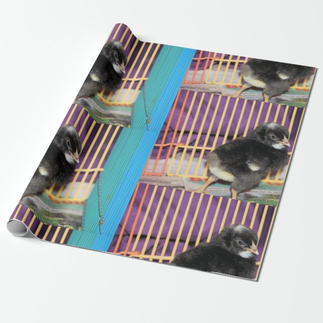 Peep Wrapping Paper (Unrolled)