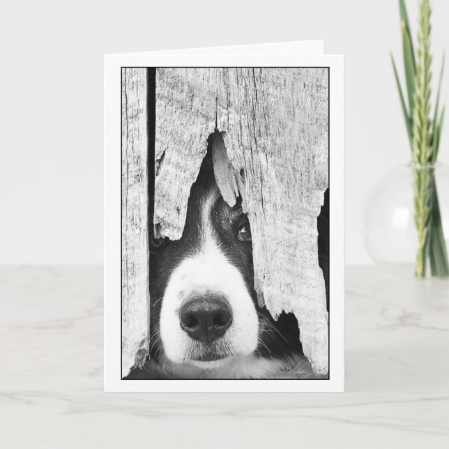 peepeye2 card (Front)